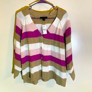 Lane Bryant Striped Sweater
